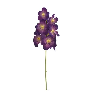 Orquídea Vanda