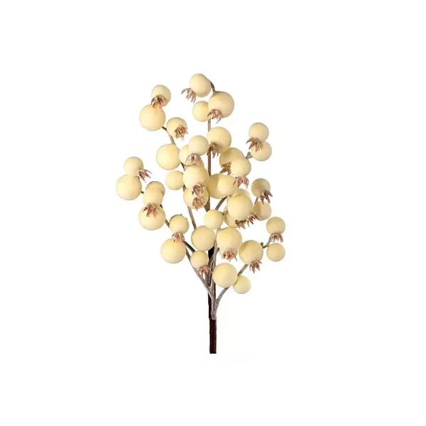 Follaje Cherry