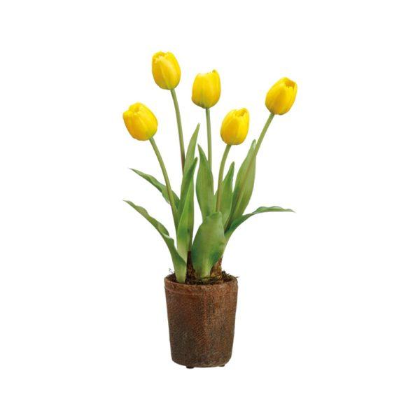 Tulipán Maceta – Joy Arte & Decoración