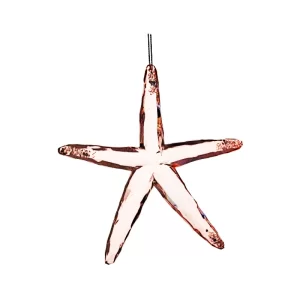 Estrella de mar color Rosado de  x 13 cm