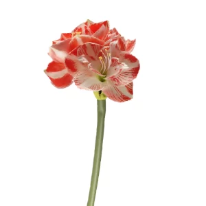 Flor Amarylis color Rosado de 66 cm