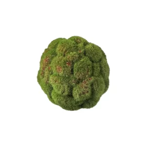 Topiario Musgo color Verde de 13 cm