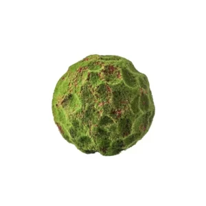 Topiario Musgo color Verde de 23 cm