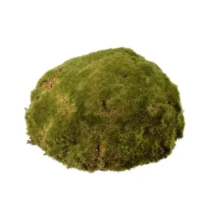Topiario Musgo color Verde de 31x19 cm