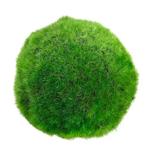 Topiario Musgo color Verde de 10 cm