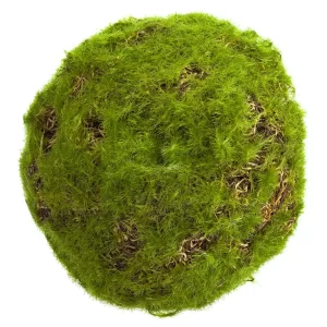Topiario Musgo color Verde de 19 cm