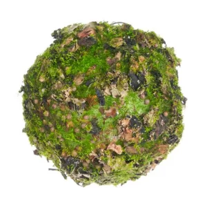 Topiario Linque color Verde de 8 cm