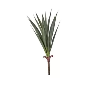 Mini Planta de Yucca color verde de 36 cm