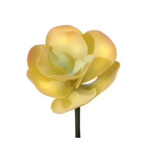 Suculenta color Amarillo de 25 cm
