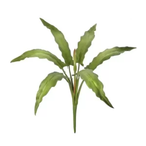 Alocasia color Verde de 71 cm