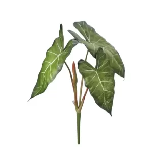 Alocasia color Verde de 66 cm