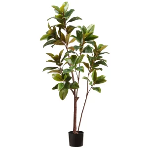 Magnolia color Verde de 180 cm