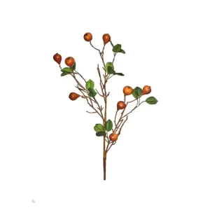 Planta Higo color Anaranjado de 71cm