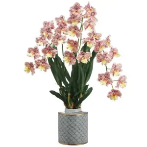Maceta  Orquídea Odontoglossom color Rosado - Gris de 30 x 86.3 x 223430.70 cm3