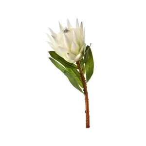 Protea color Blanco de 66 cm
