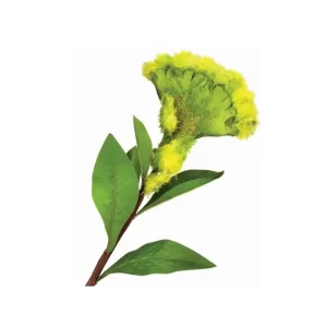Flor Imperial color Verde Ingles de 67 cm