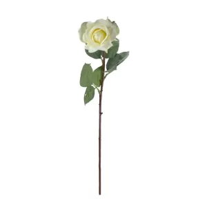 Rosa color Blanco de 65.5cm