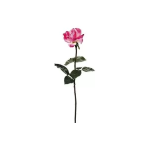 Rosa color Rosado de 65.5cm