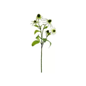Equinacea color Blanco de 74cm