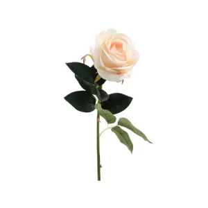 Rosa color Beige - Rosado de 51cm