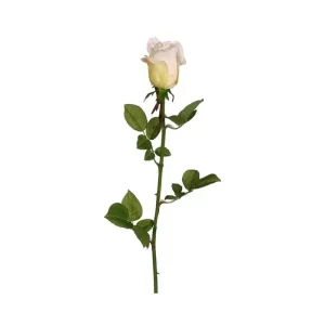 Rosa color Blanco de 71cm