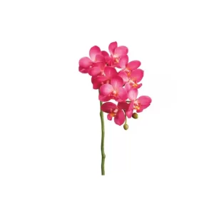 Phalaenopsis color Rosado de 47cm