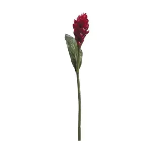 Heliconia color Rojo de 93.9cm