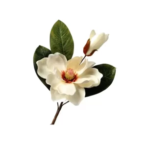 Magnolia color Blanco de 35cm