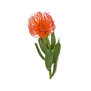 Protea color Anaranjado de 53cm