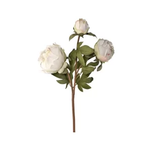 Rosa Triple color Blanco de 60cm