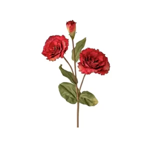 Rosa Triple color Rojo de 58cm