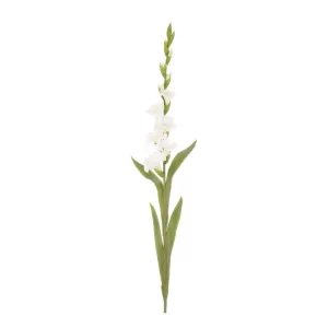Gladiola color blanco - verde de 17,78 x 12,7 x 121,92 cm