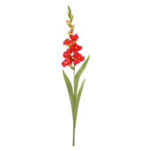 Gladiola color rojo de 17,78 x 12,7 x 107,95 cm