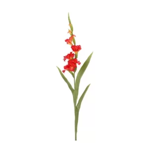 Gladiola color rojo de 17,78 x10,16 x 91,44 cm