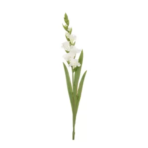 Gladiola color blanco - verde de 17,78 x 10,16 x 91,44 cm