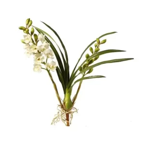 Orquídea Barco color blanco - verde de 50,8 x 25,40 x 73,66 cm