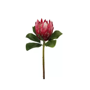 Protea color rojo - vinotinto de 25,40 x 25,40 x 81,28 cm