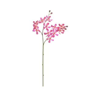 Orquídea Vanda Lamellata color fucsia de 15,24 x 5,08 x 76,2 cm