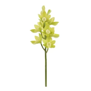 Orquídea Barco Abierta color verde de 17,78 x 17,78  x 55,88