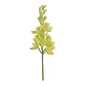 Orquídea Barco color verde de 15,24 x 15,24  x 88,90 cm