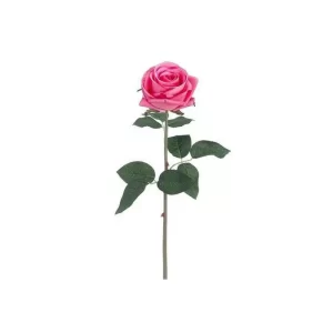 Rosa  color Rosado de 6 x 48 cm2