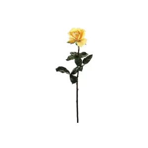 Rosa color Amarillo de 1 x 1 x 65.50 cm3