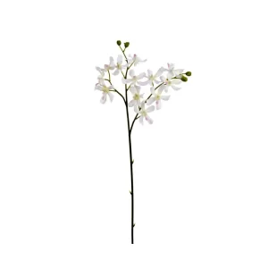Orquídea Vanda Lamellata color Blanco de 15 X 5 X 76 CM