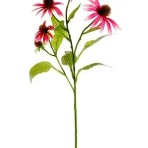 Flor Echinacea color Rosado de 20 x 73 x 7300.00 cm3