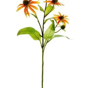 Flor Echinacea color Anarajando de 73 cm
