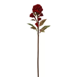Celosia color Vinotinto de 56 cm