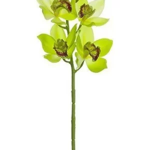 Orquidea  color Verde de 20 x 48 x 46080.00 cm3