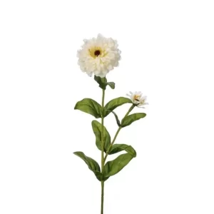 Flor Zinnia color Blanco de 8 x 20 x 3200.00 cm3
