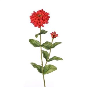 Flor Zinnia color Rojo de 10 x 20 x 4000.00 cm3