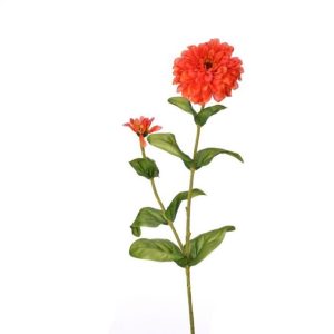Flor Zinnia color Anarajando de 10 x 20 x 4000.00 cm3